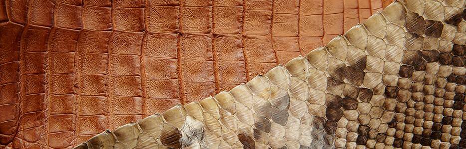 Exotic Leathers