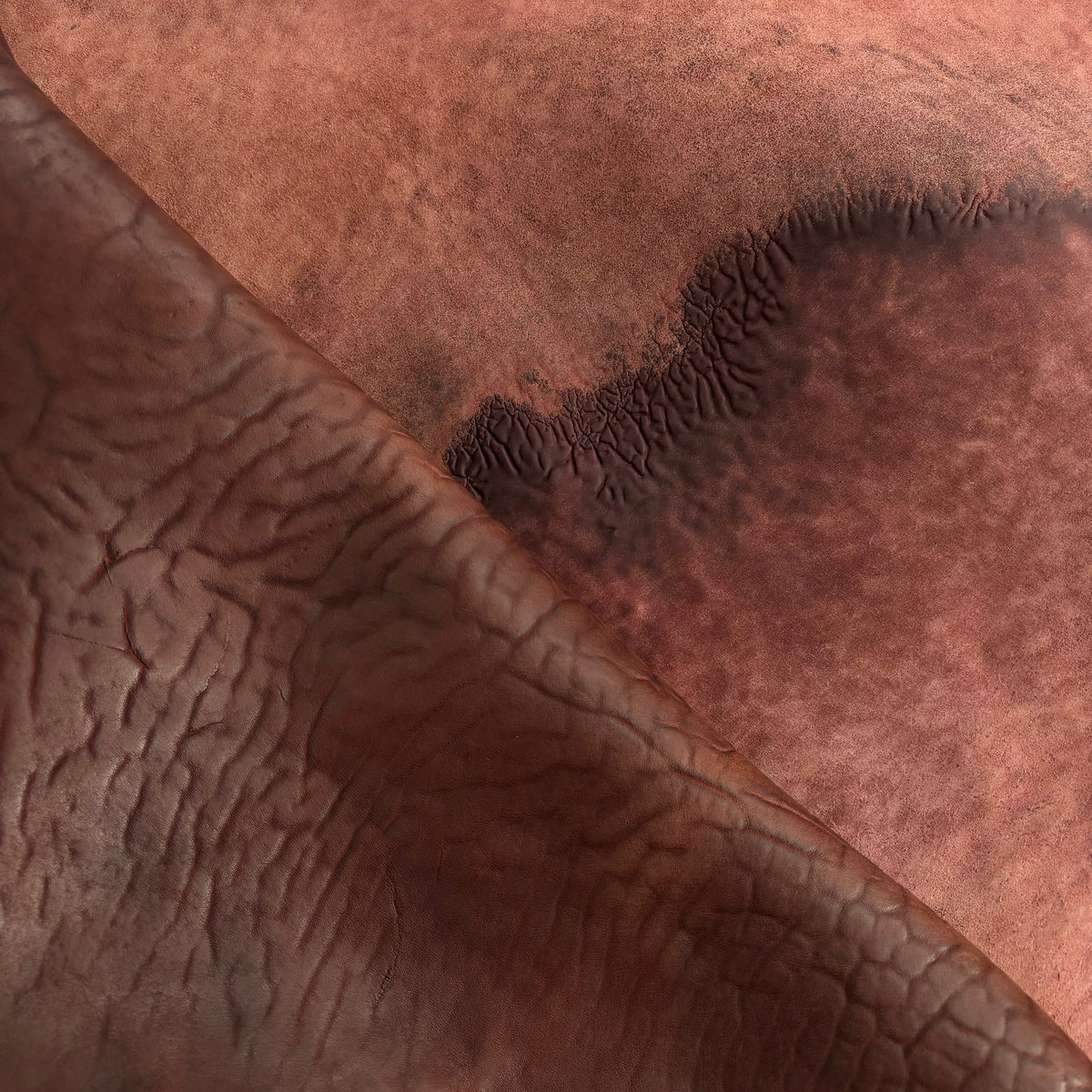 Crude Culatta Horse Double Butt Hide