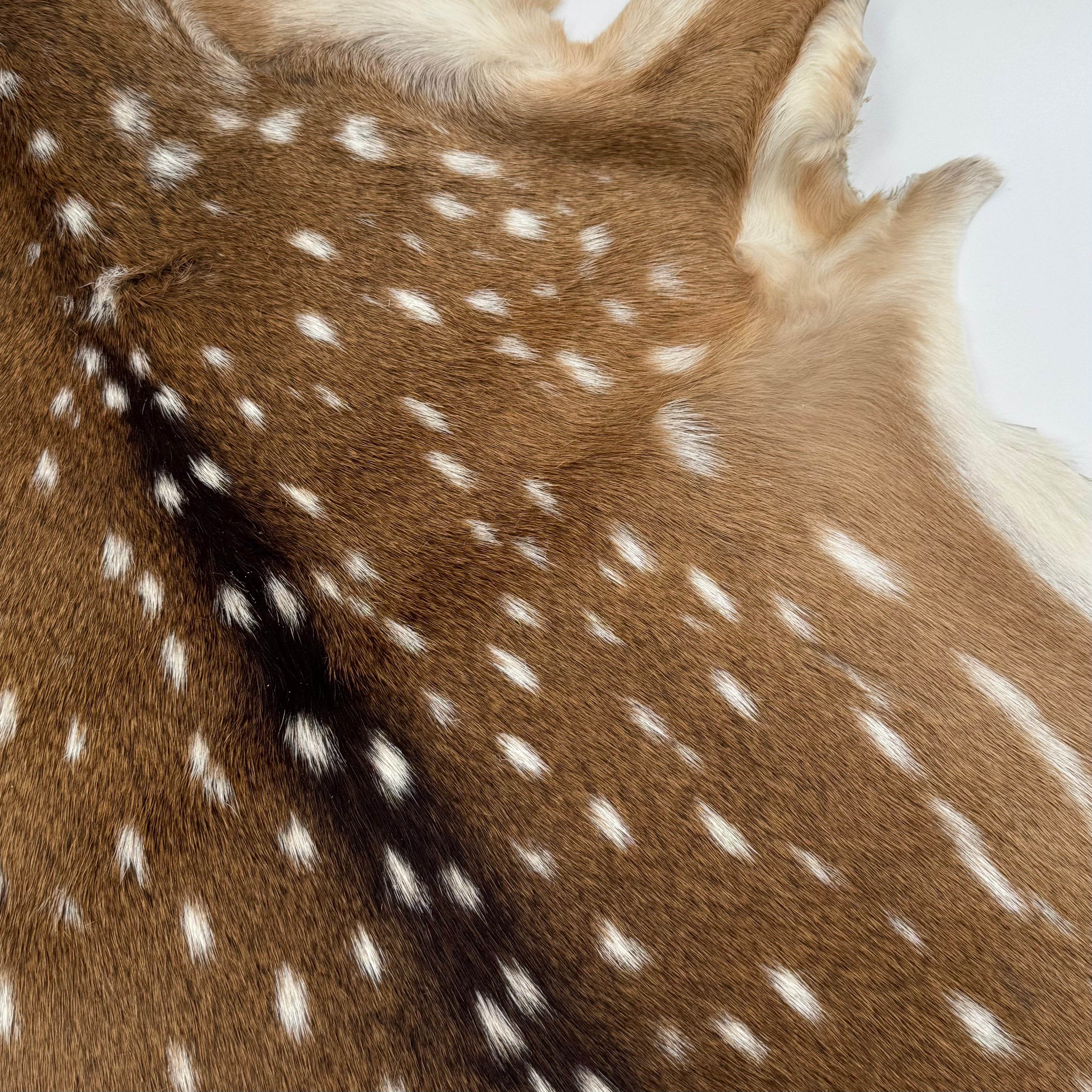 Axis Deer Hide - Extra Soft Grade 1 and Extra Large | Perfect for