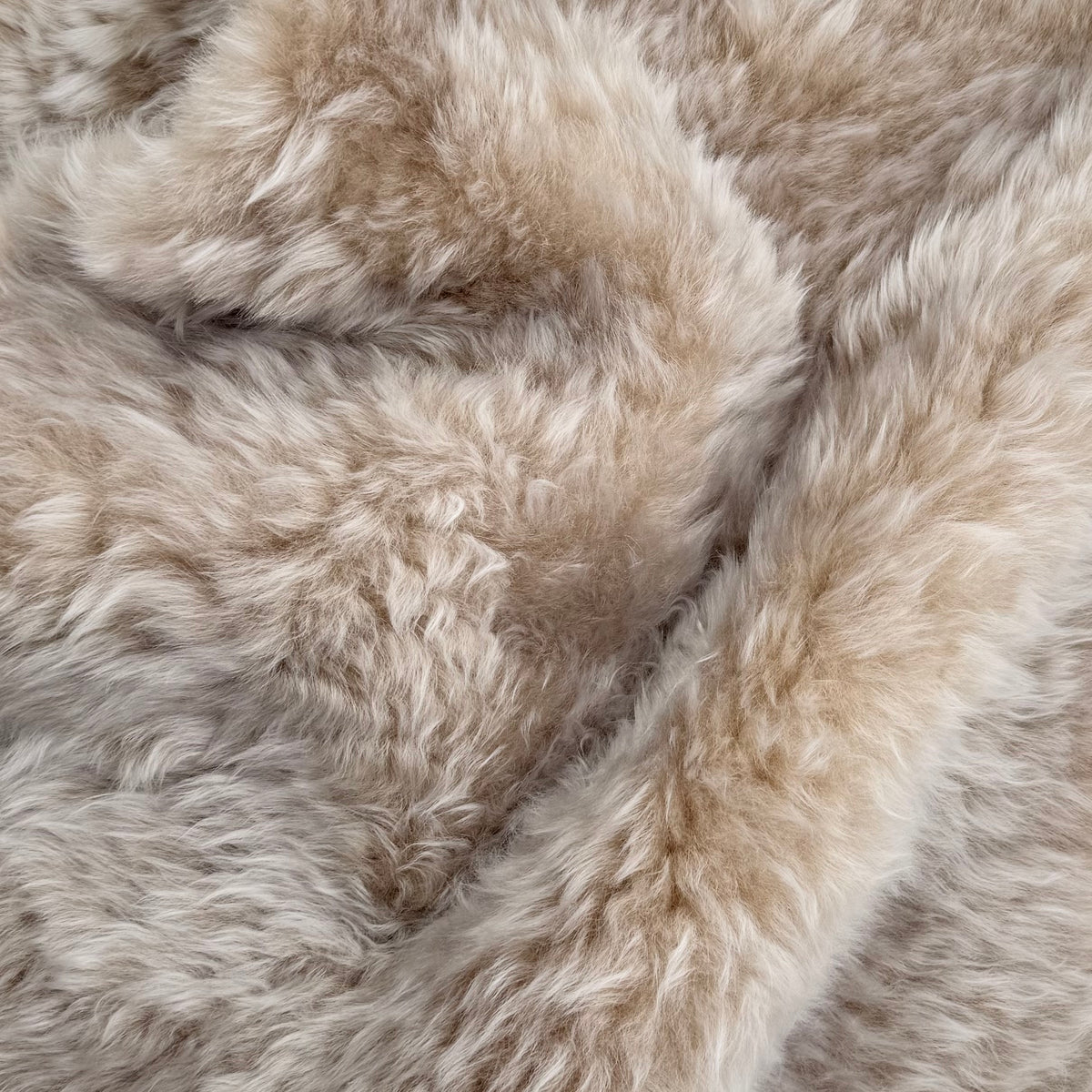 Two-Tone Icelandic Curly Shearling with Leather Backing