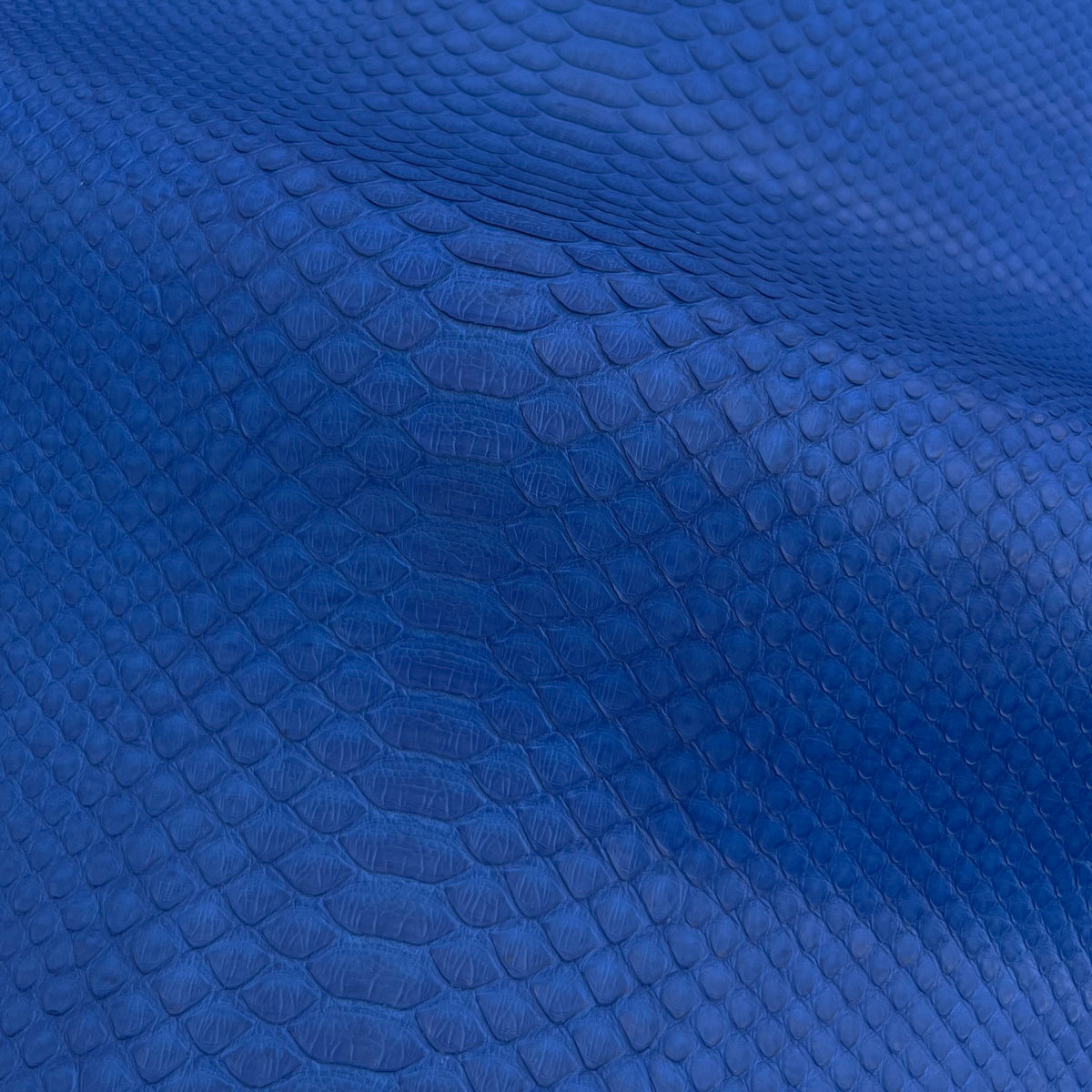 Python Matte | Electric Blue | Long Tail Back Cut