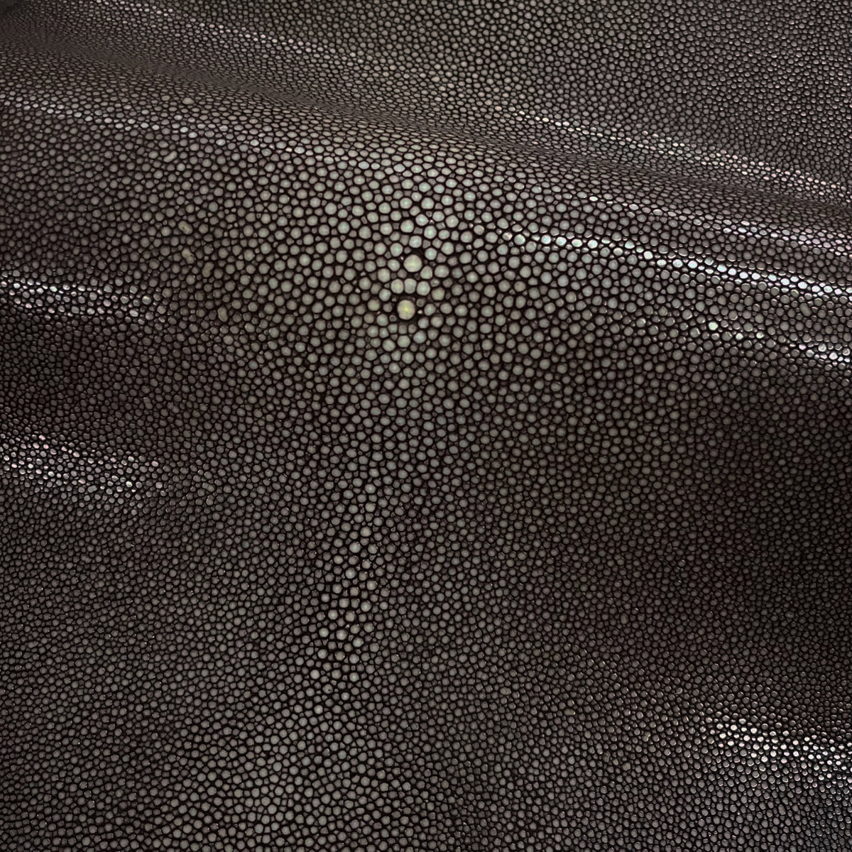 Sanded Stingray/Shagreen Genuine Skin | Dark Brown | 11" Wide