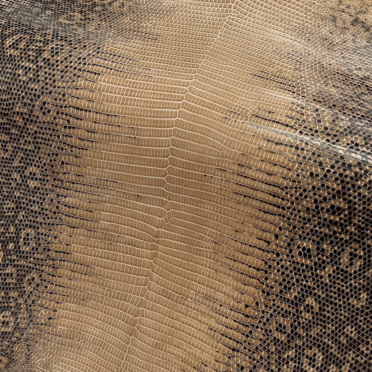 【美品】Lizard skin リザード レザー 蜥蜴革/金具/ハンドバッグ 値下げ】genuine lizard skin トカゲ革 ハンド バッグ - メルカリ
