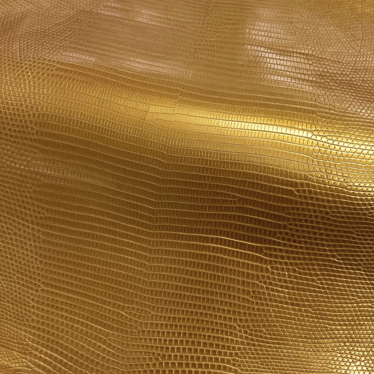 Lizard Skin | 24k Gold (Back Cut)