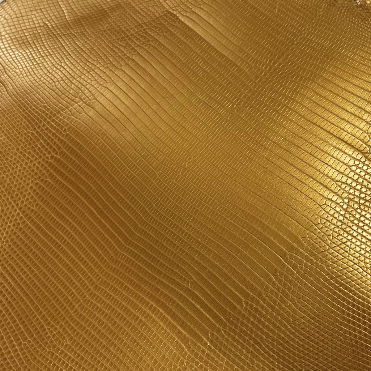 Lizard Skin | 24k Gold (Back Cut)