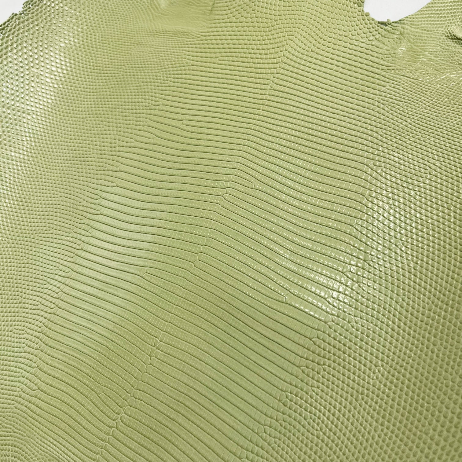 Lizard Skin | Beach net (Back Cut)