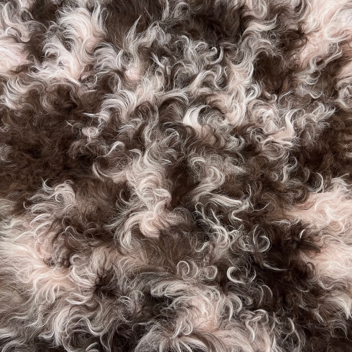 Curly Tigrado Shearling | Light Pink & Brown