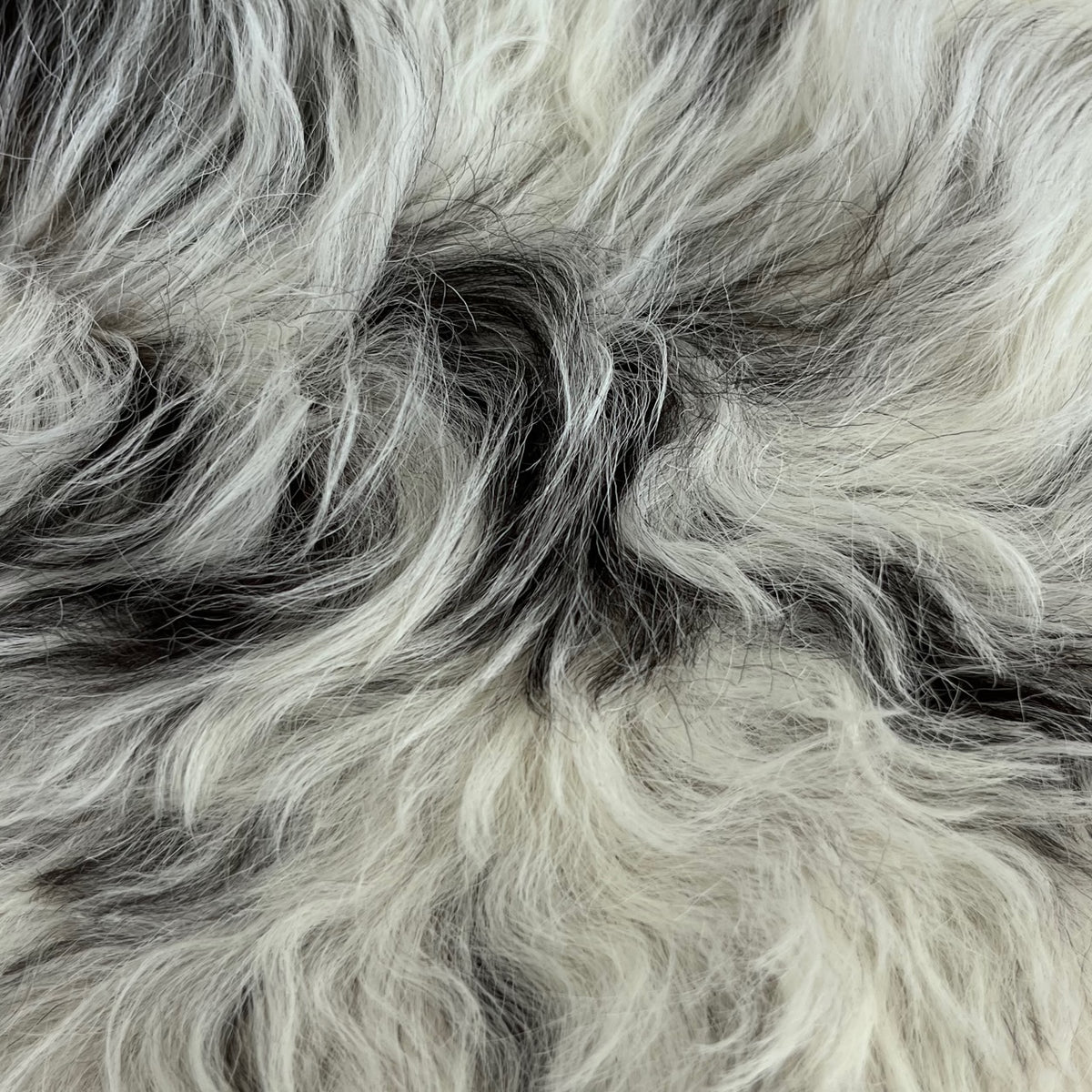 Curly Tigrado Shearling | Ivory & Dark Brown
