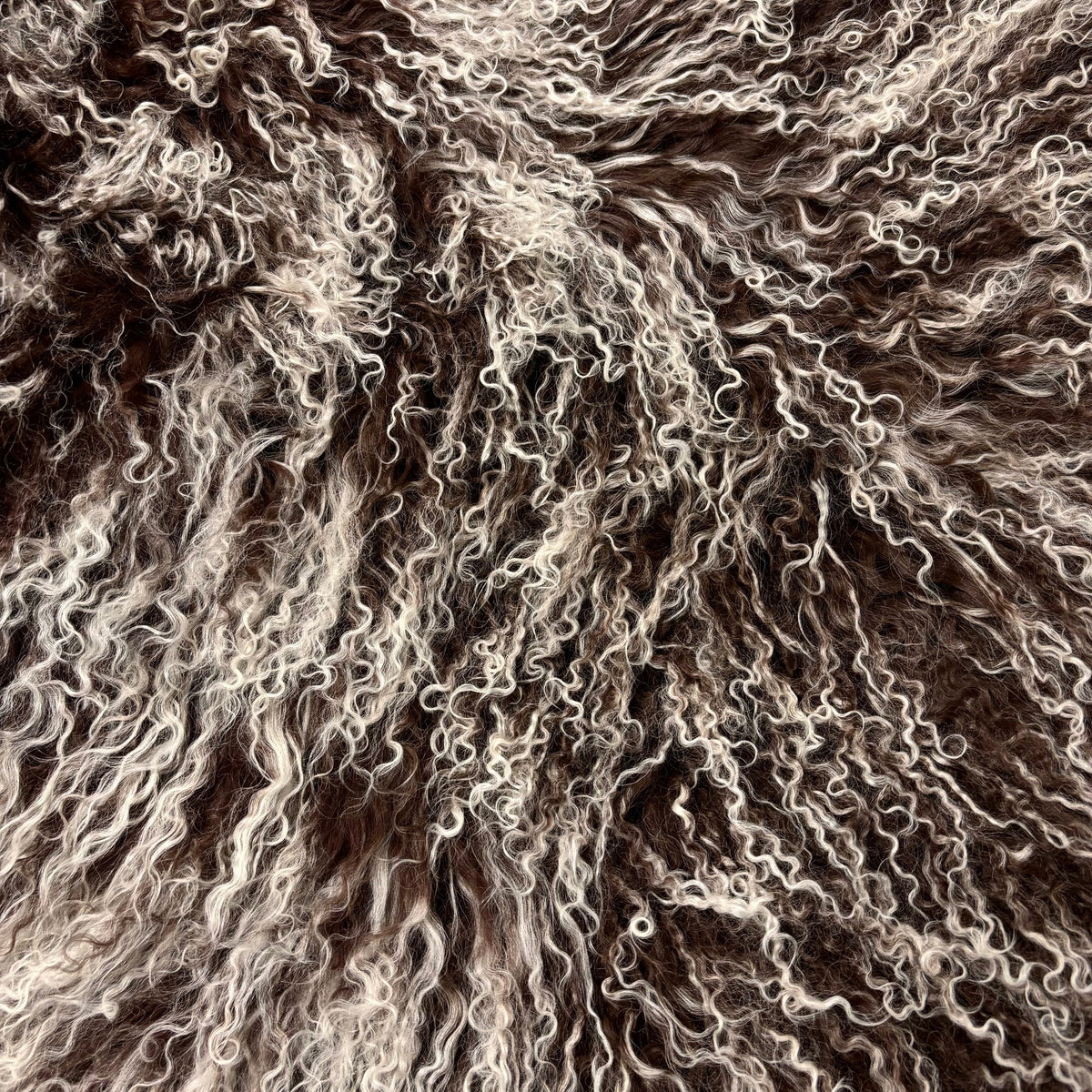 Mongolian Curly Lamb Plate | Ships in 4-5 Days