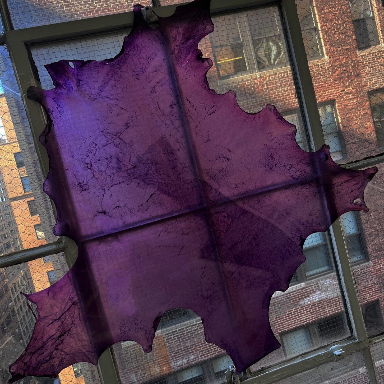 Transparent Translucent Kangaroo Hide | Purple