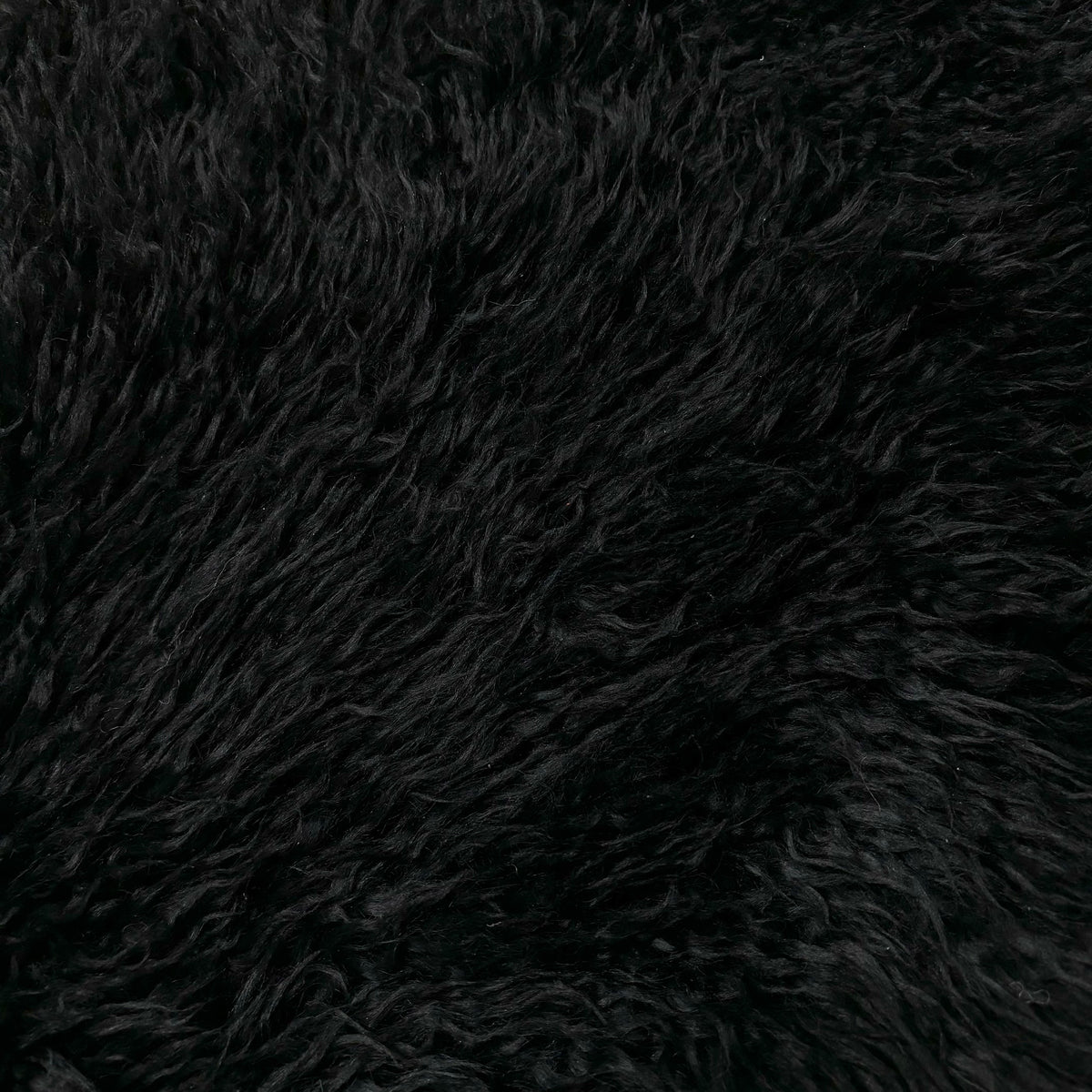 Skandilock Curly Longwool New Zealand | Ships in 3 weeks