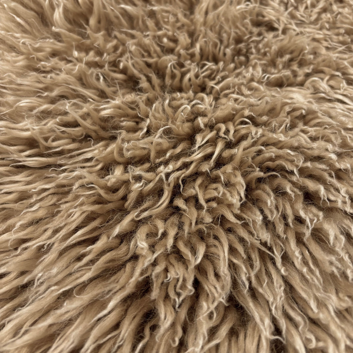 Skandilock Curly Longwool New Zealand | Ships in 4 weeks