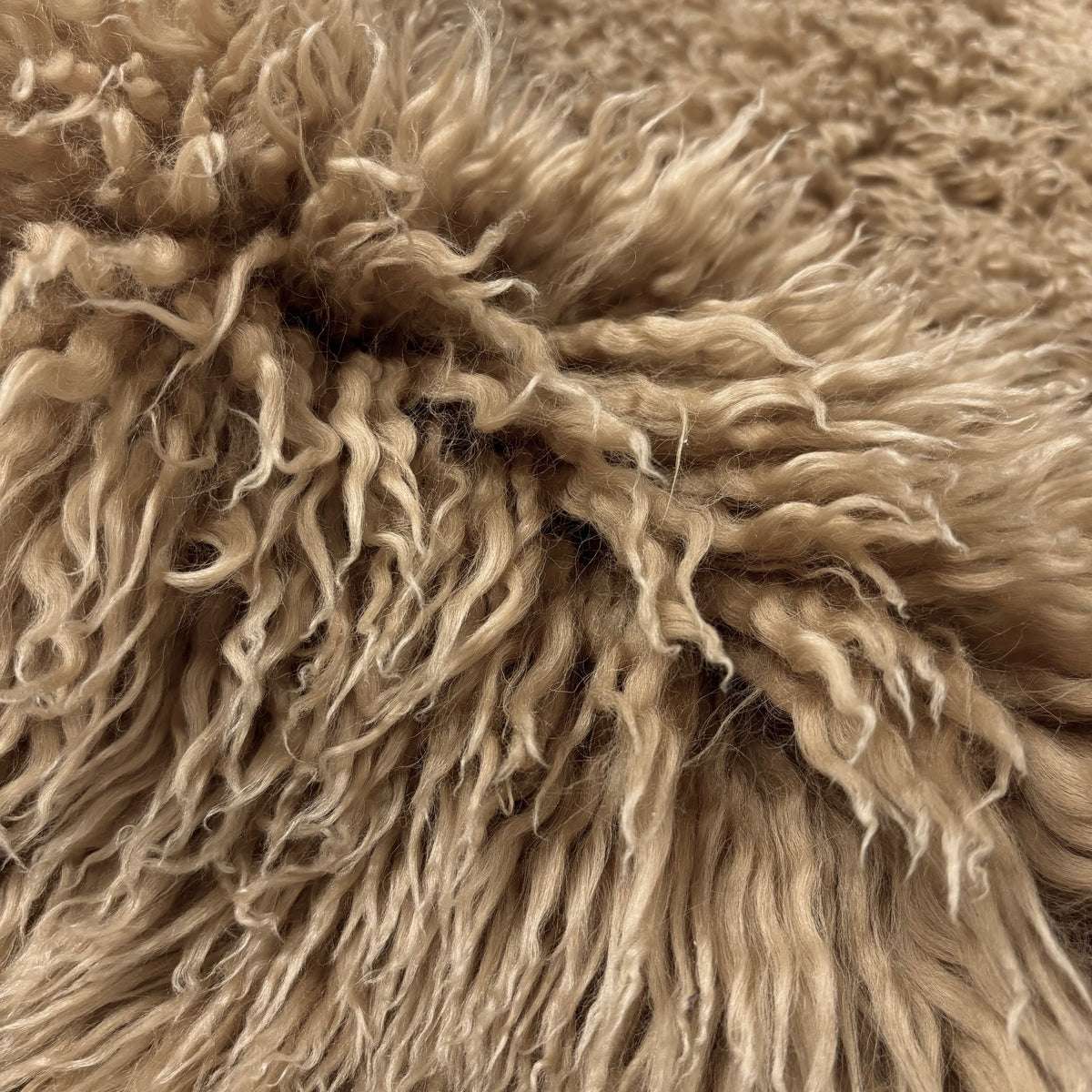 Skandilock Curly Longwool New Zealand | Ships in 4 weeks