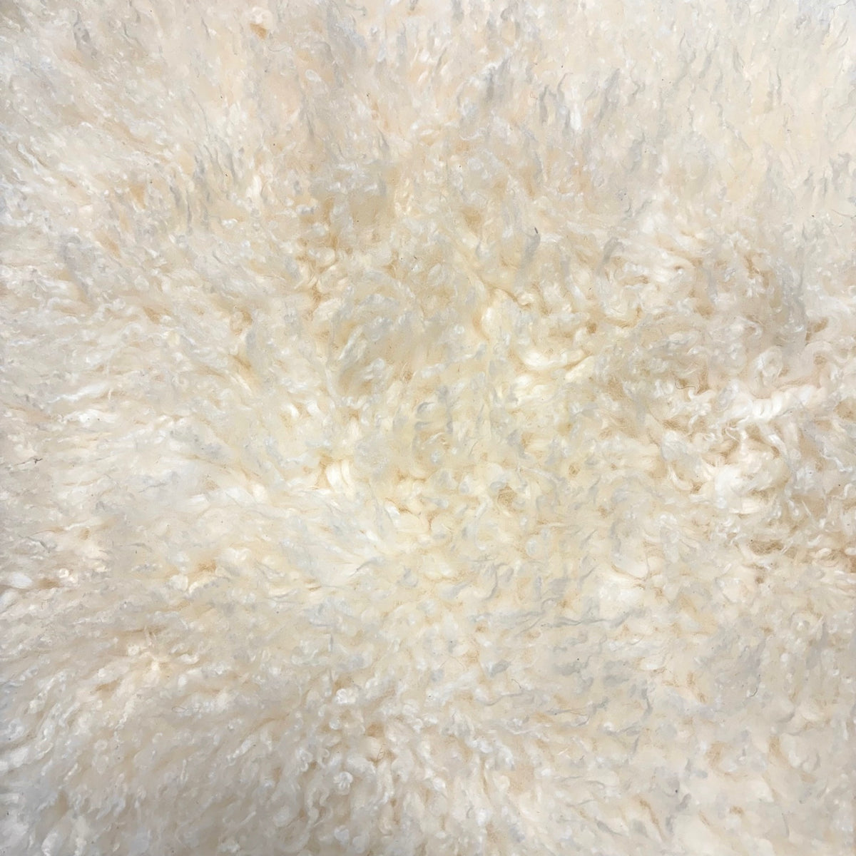 Skandilock Curly Longwool New Zealand | Ships in 4 weeks
