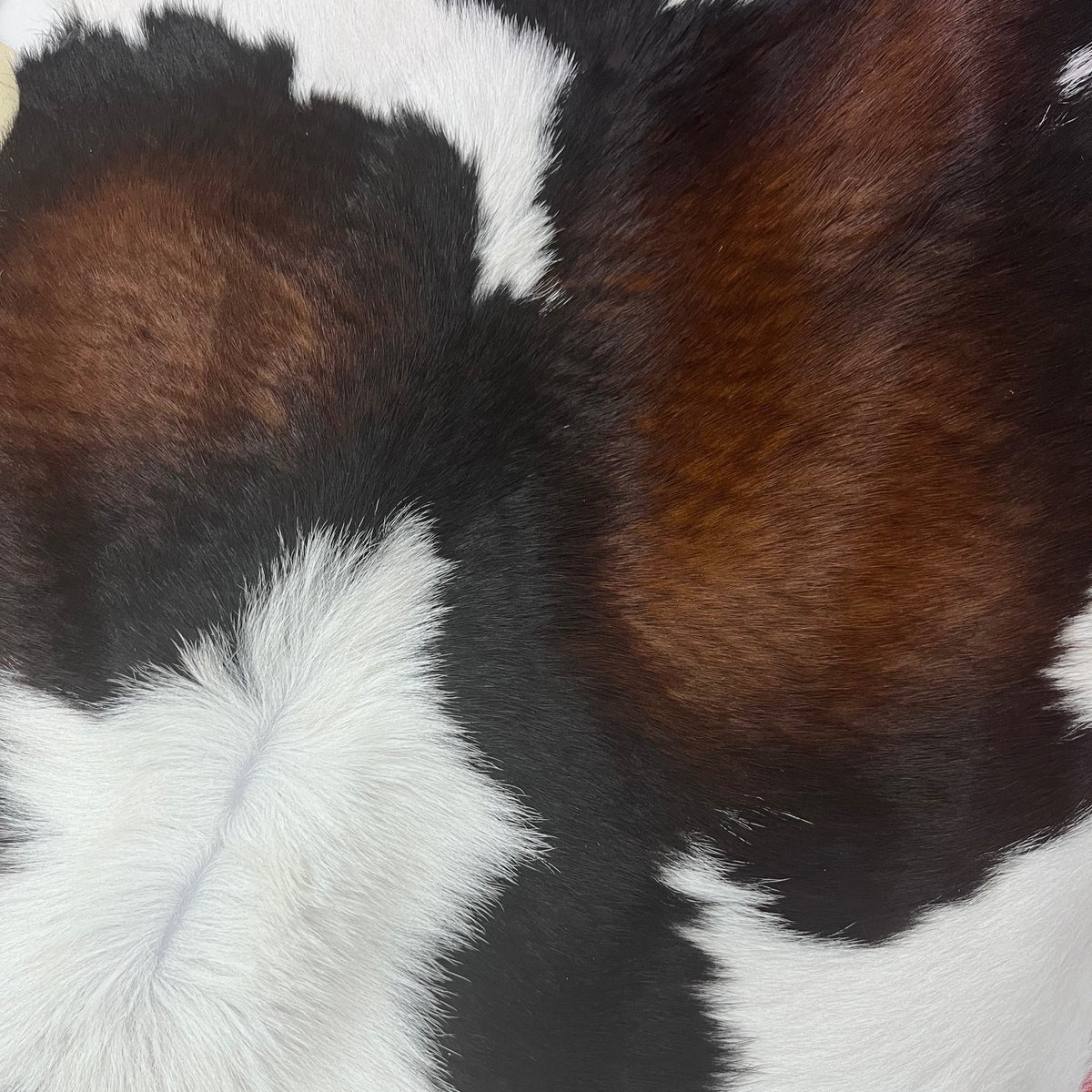 Naturally Spotted Calf Cavalino | Ships in 2 weeks