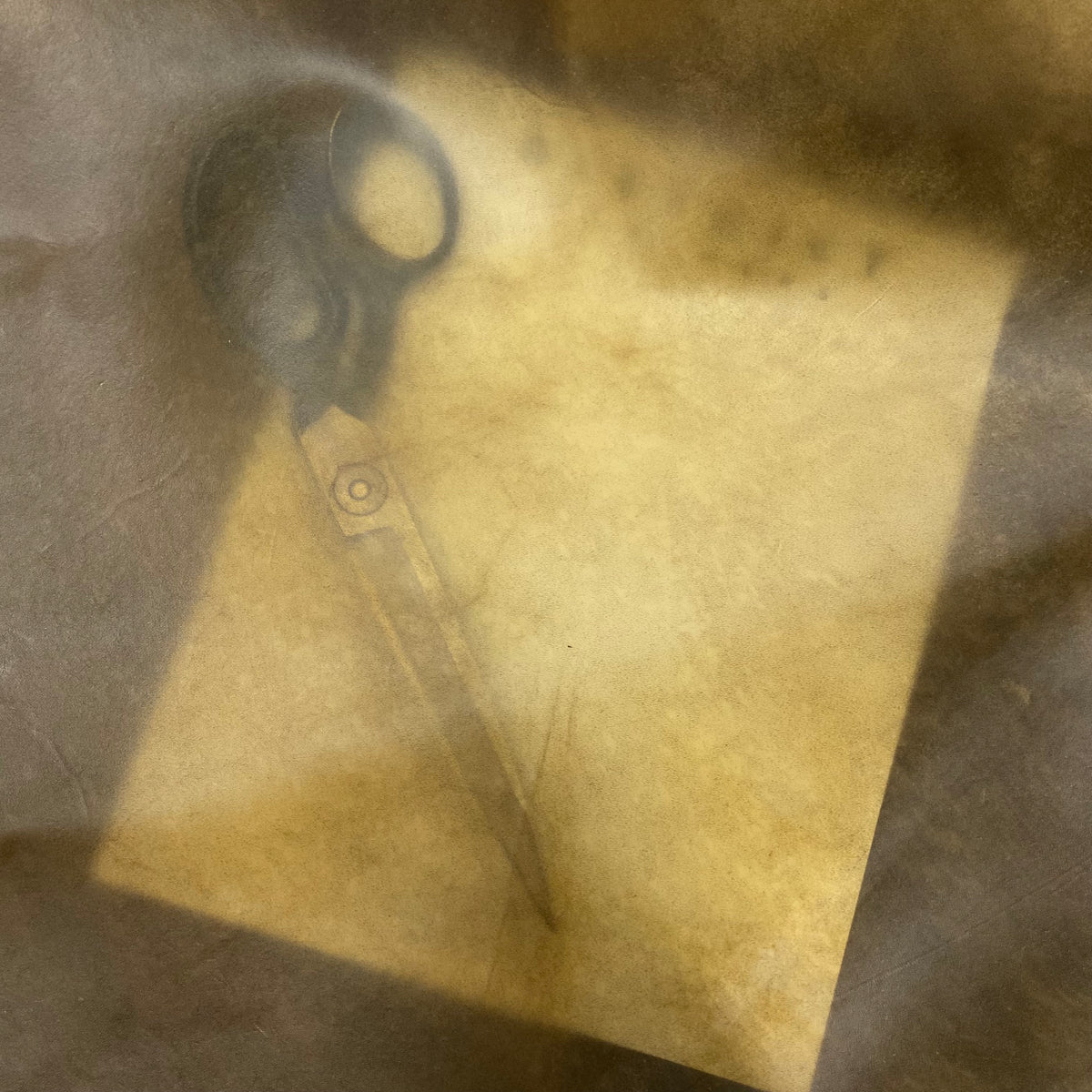 Transparent Horse Leather | Ships after November 25