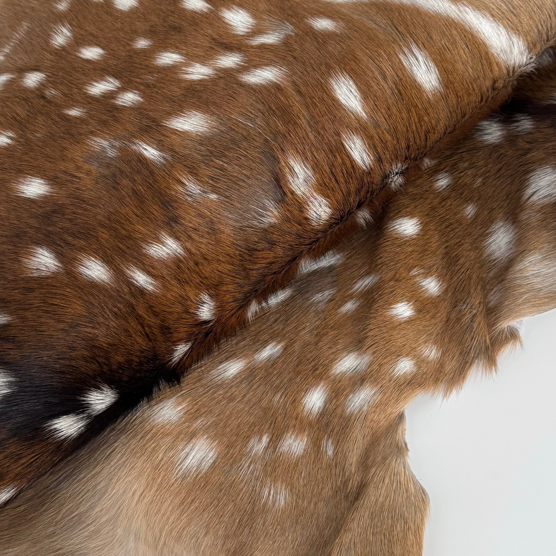 Axis Wild Deer Hide Extra Large