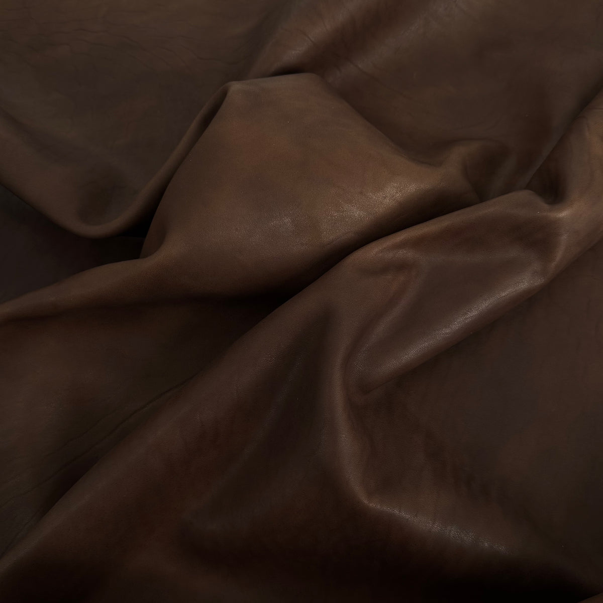 Homage Horse Leather