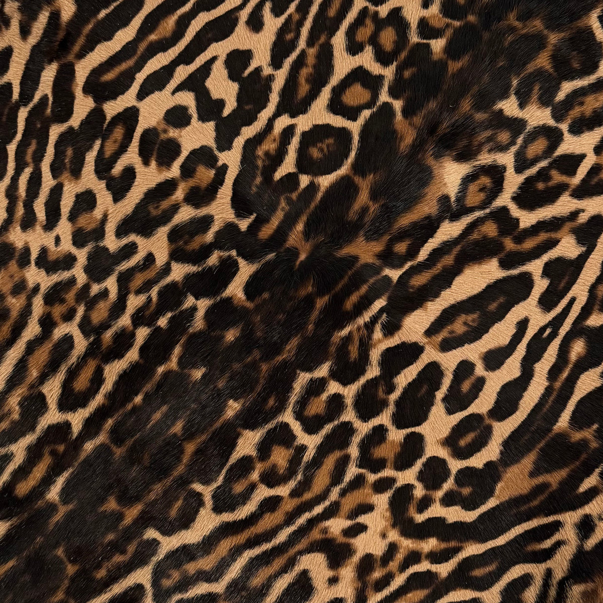 Leopard Hair-On Calf Cavalino with Longer Hair