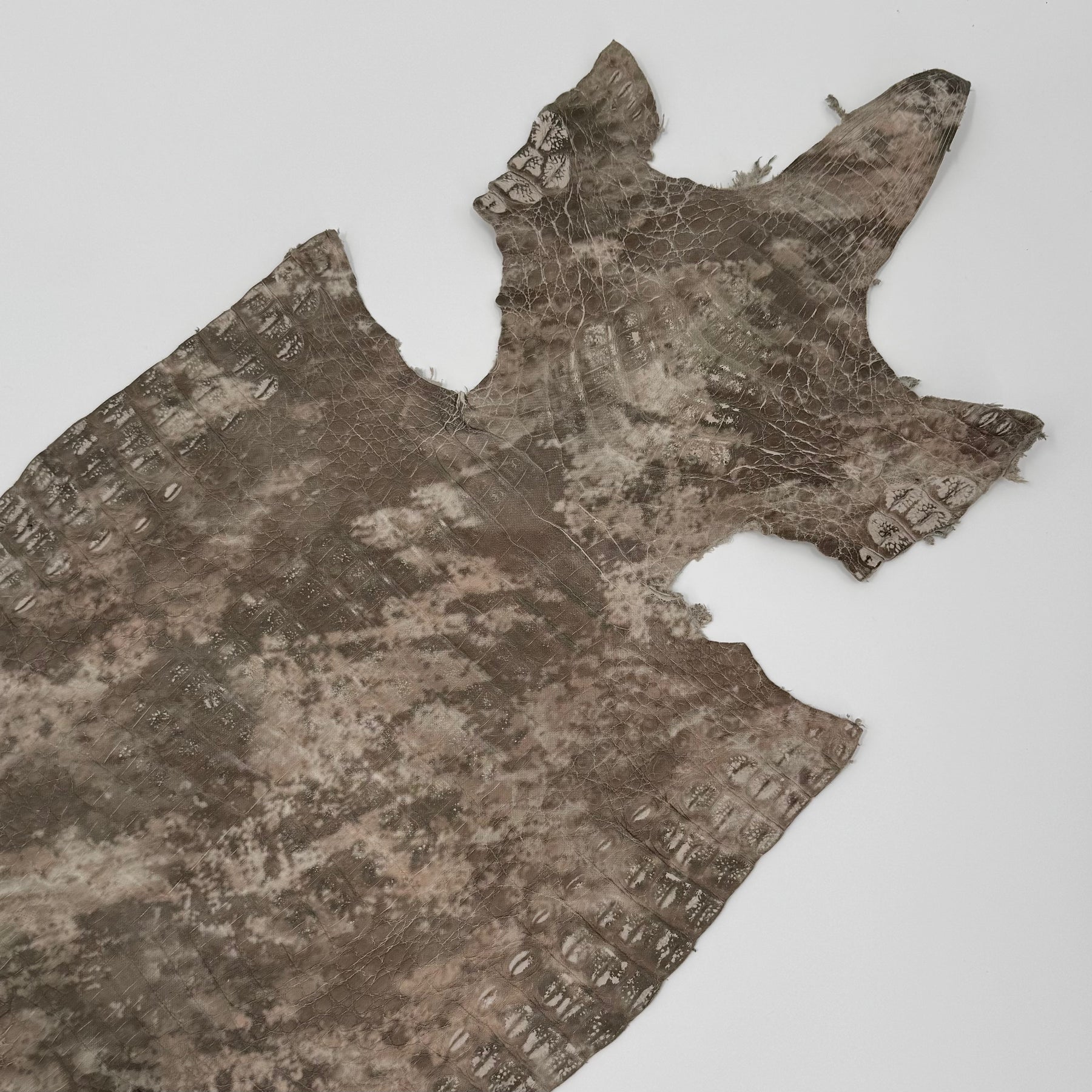 Khaki Camo Caiman Crocodile | SALE - last 10 hides!