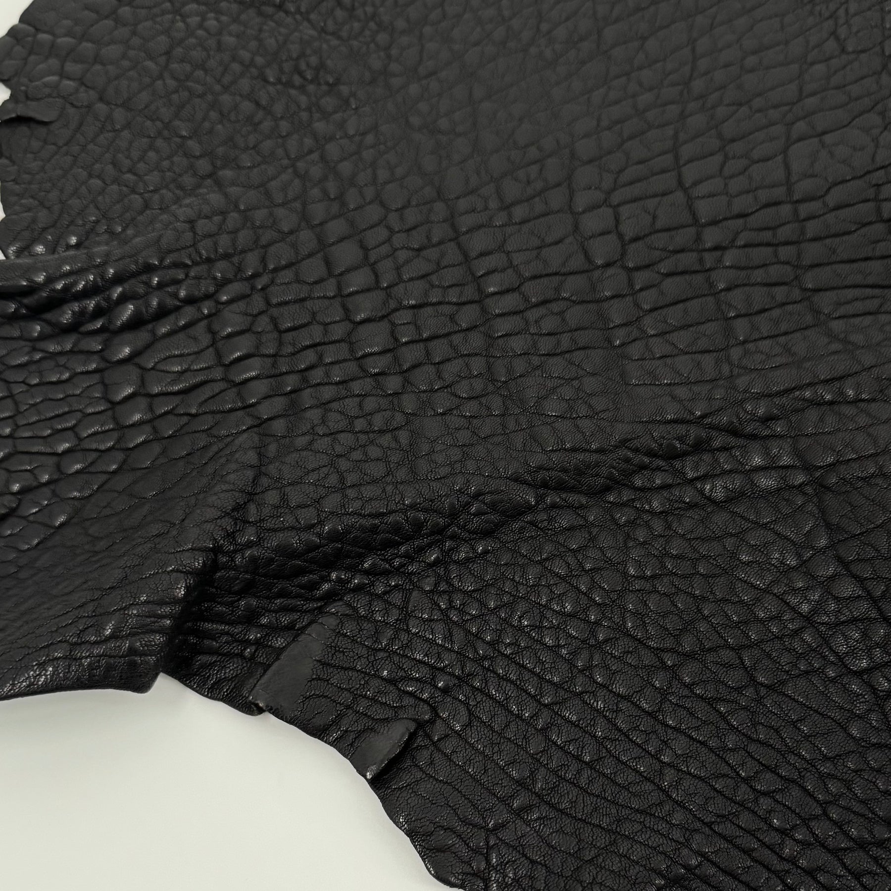 Austin Shrunken Bubble Lamb