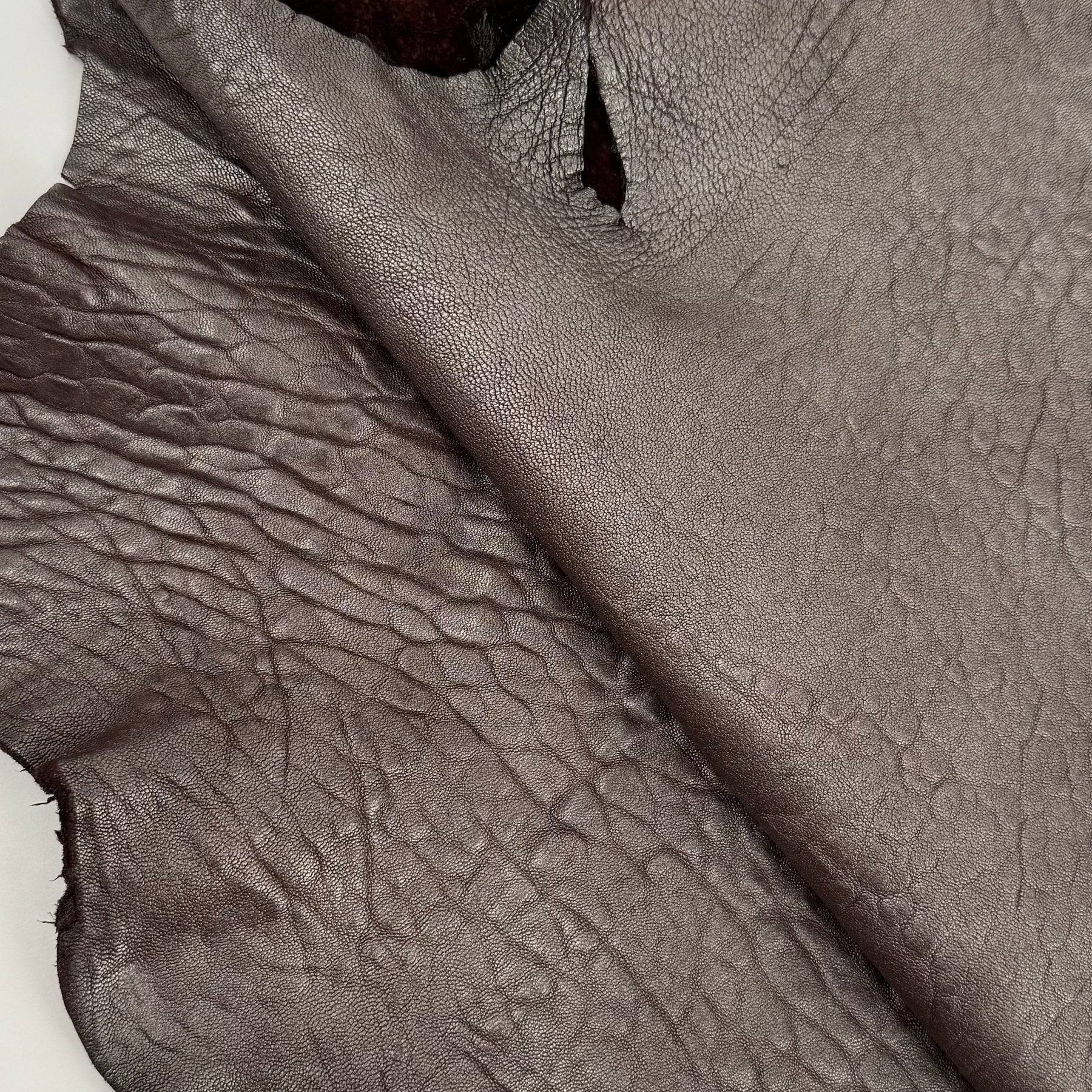 Ribby Pearlized Shrunken Bubble Lamb