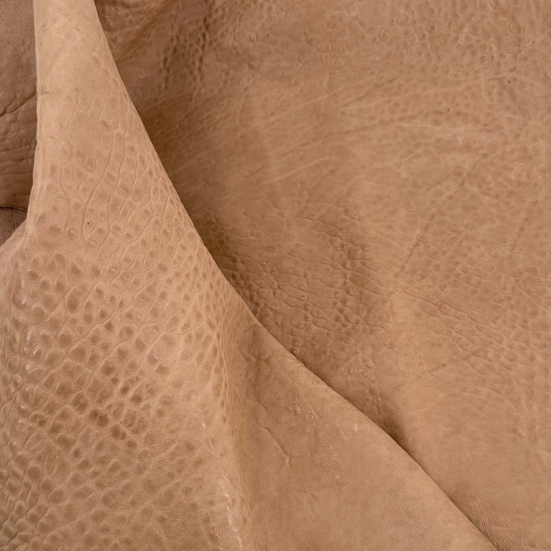 Austin Shrunken Bubble Lamb