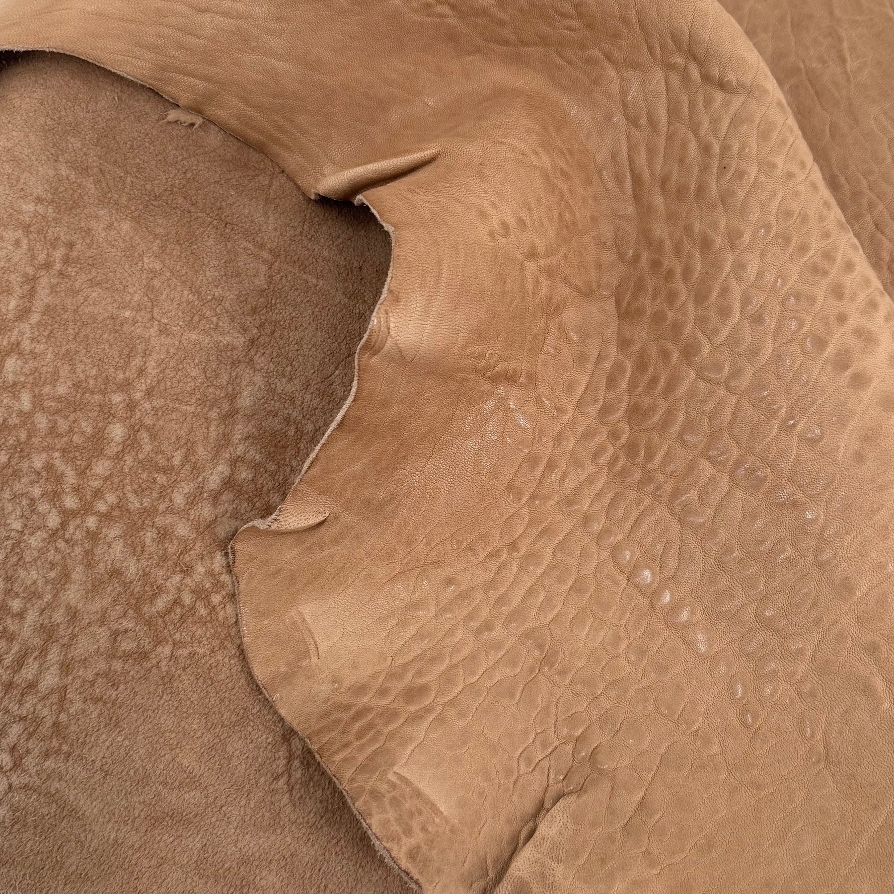 Austin Shrunken Bubble Lamb