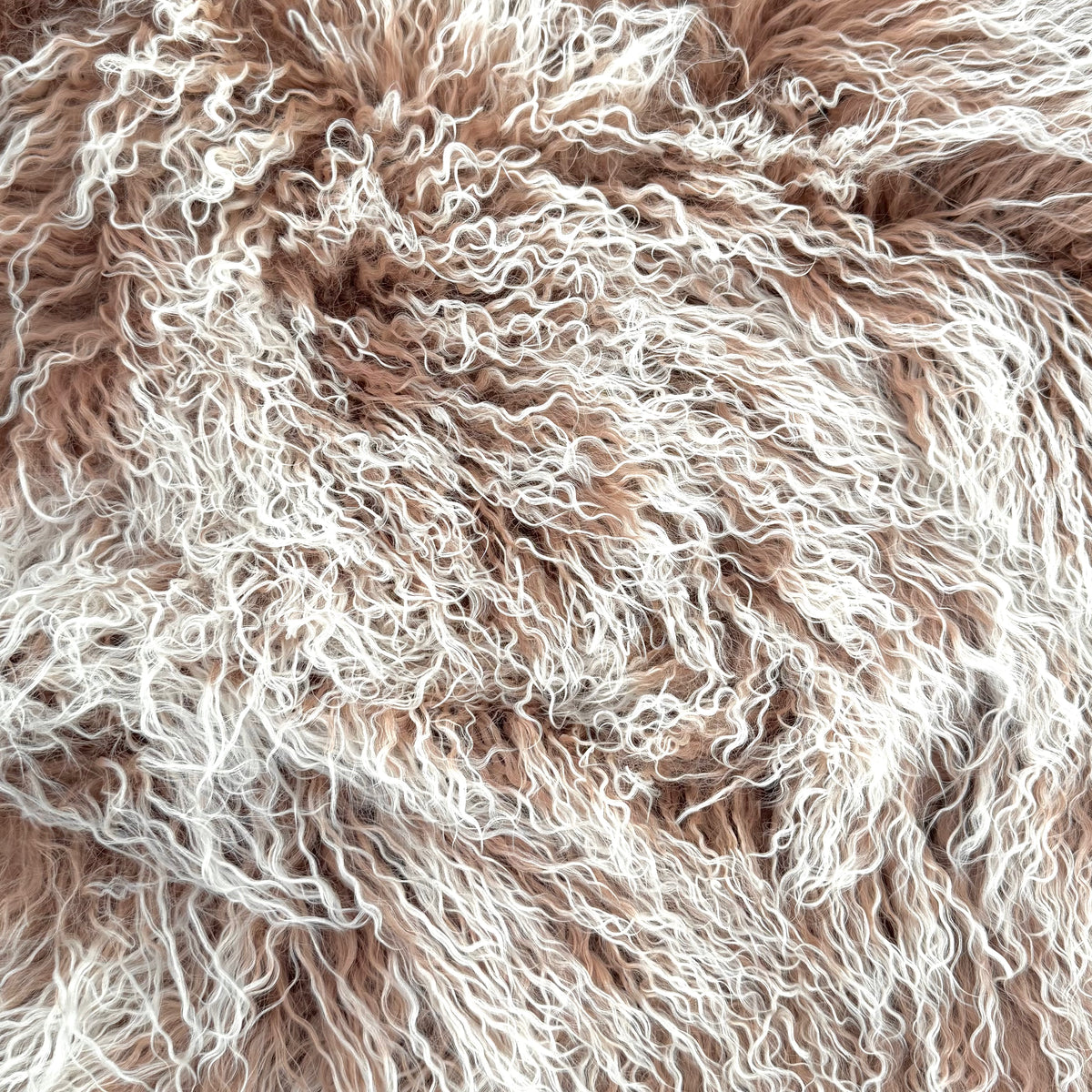 Mongolian Curly Lamb Plate | Ships in 4-5 Days