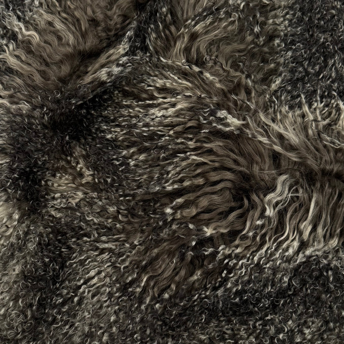 Mongolian Curly Lamb Plate in Midnight Jungle