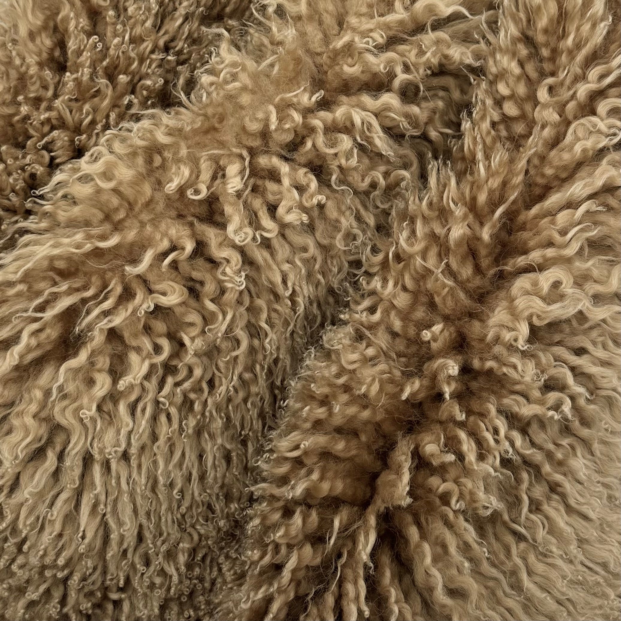 Curly Australian Shearling for Upholstery