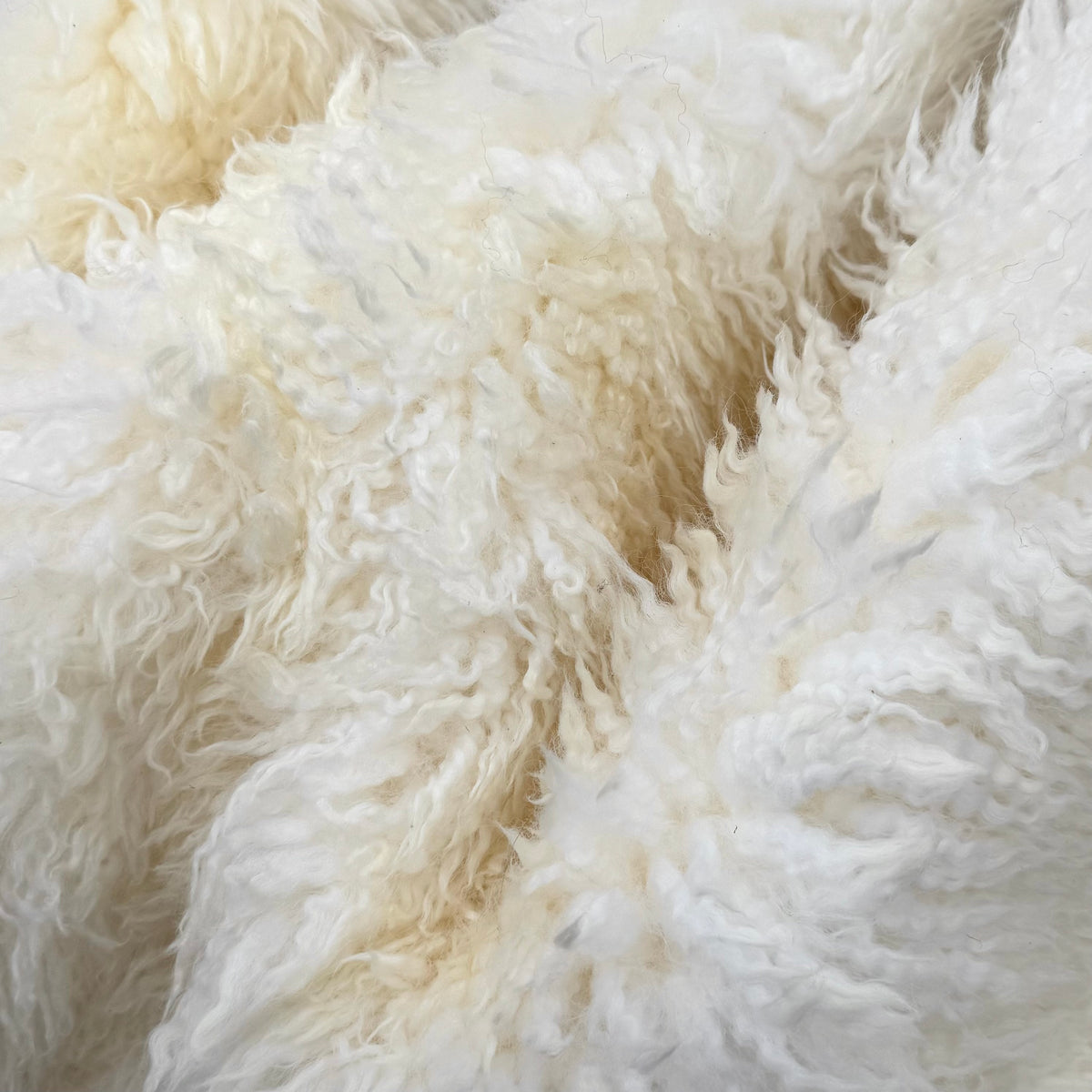 Skandilock Curly Longwool New Zealand | Ships in 3 weeks