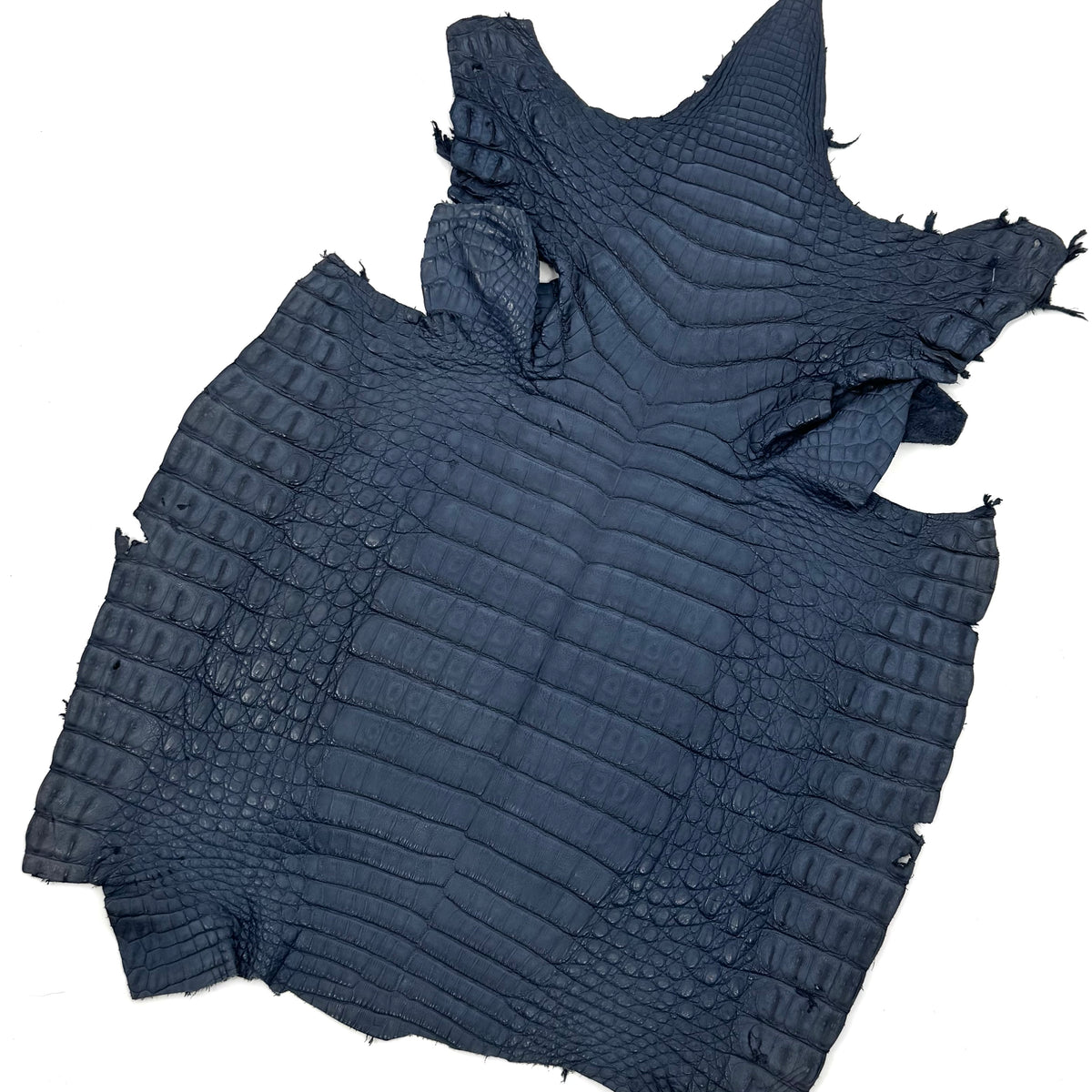 Vintage Blue Caiman Crocodile - Only 1 Available! | SALE