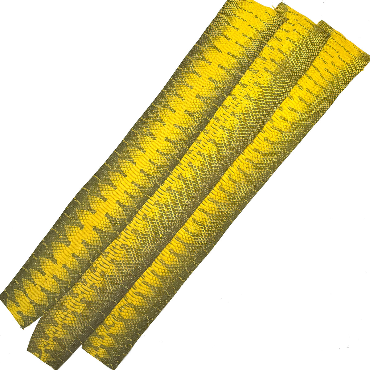 Yellow Genuine Elaphe Snakeskin | SALE