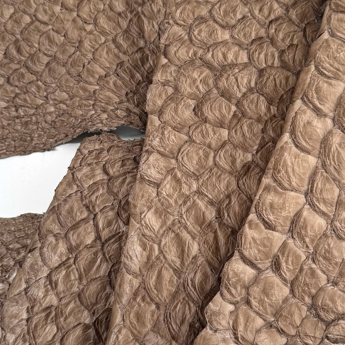 Sesame Pirarucu Fish Leather