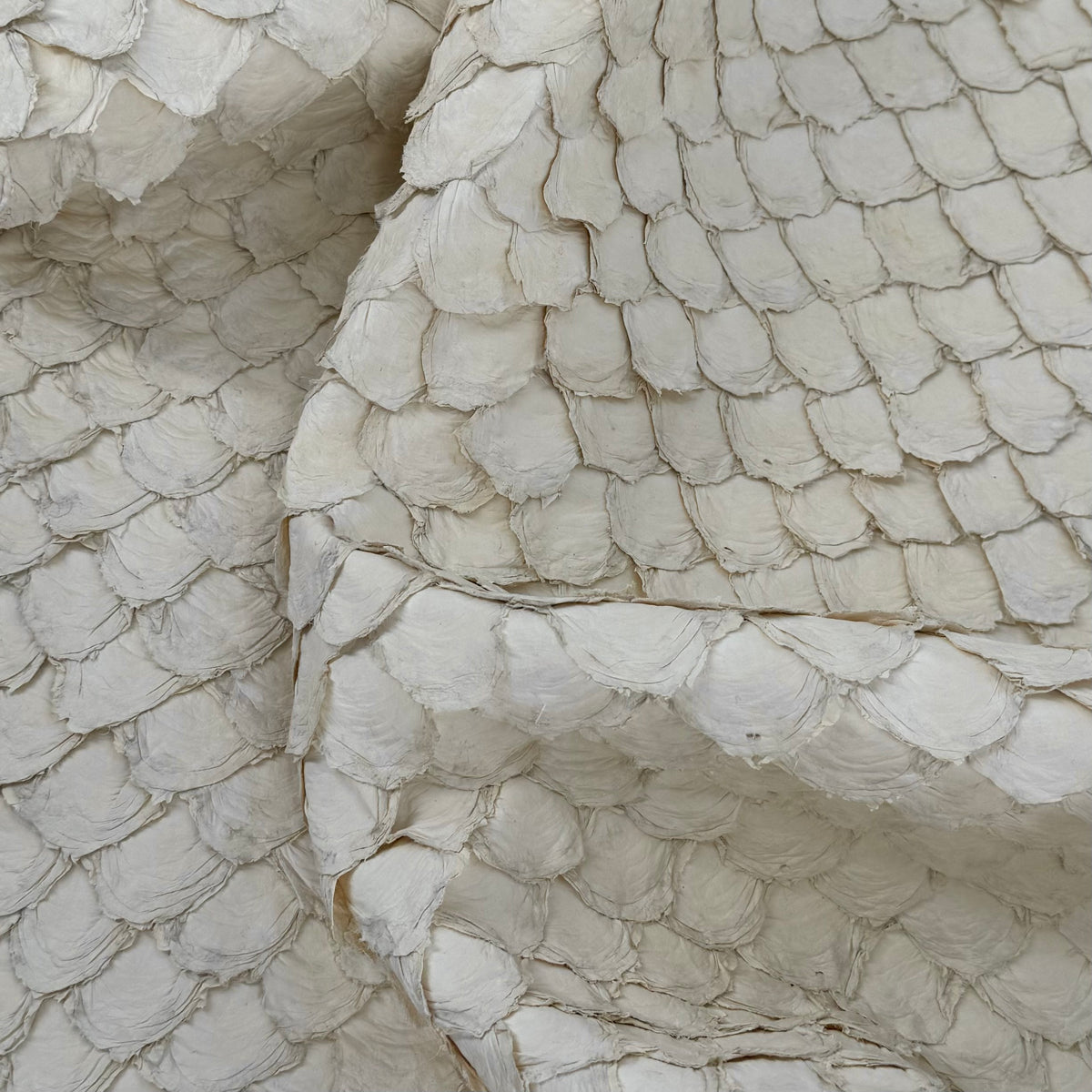 Semishiny Crust Undyed Pirarucu Fish Leather - 1 available