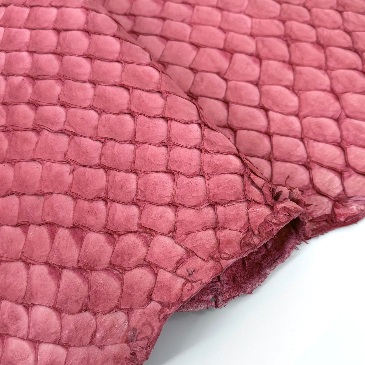 Pink Pirarucu Fish Leather