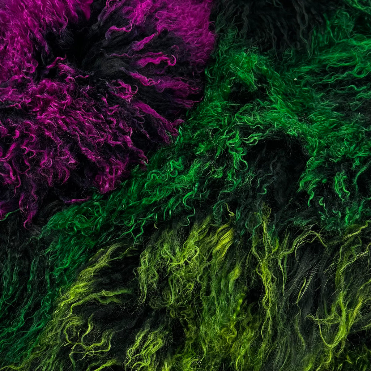 Neon Mongolian Curly Lamb Plate | Limited Stock