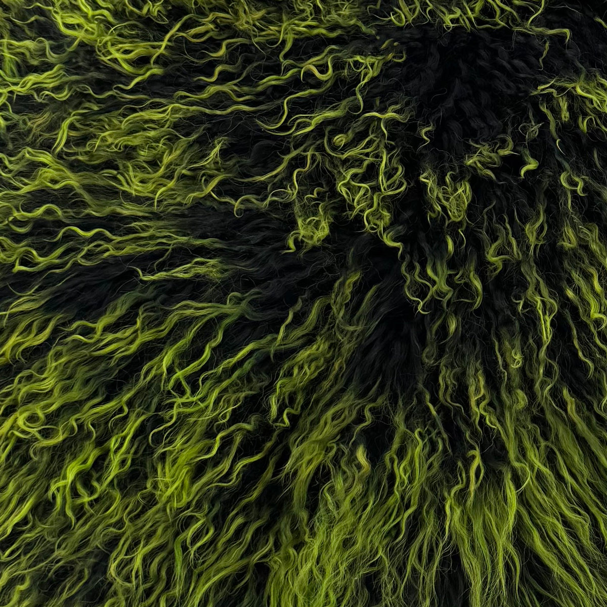 Neon Mongolian Curly Lamb Plate | Limited Stock