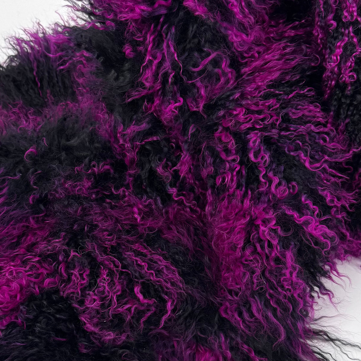 Neon Mongolian Curly Lamb Plate | Limited Stock