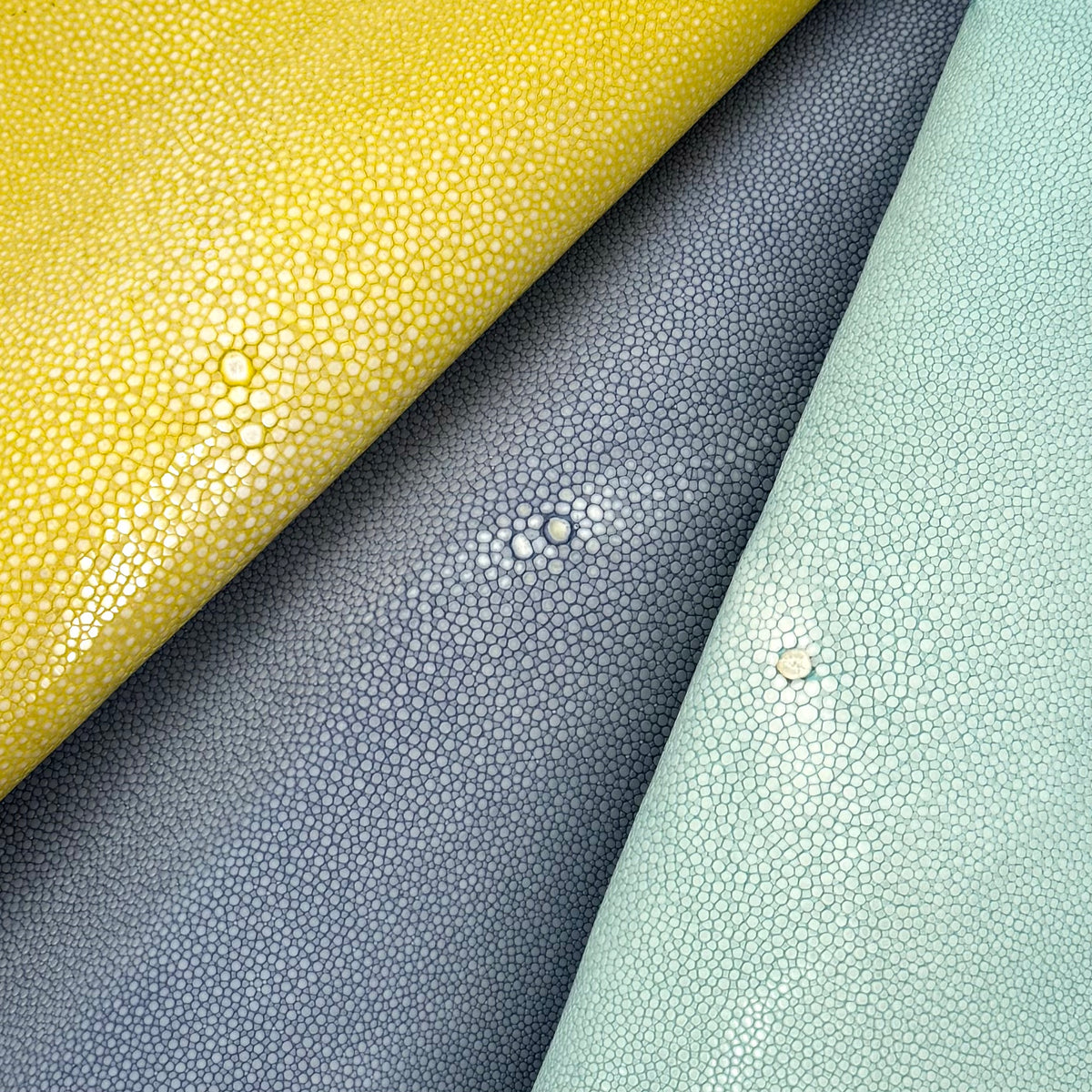 Pastel Sanded/Polished Stingray