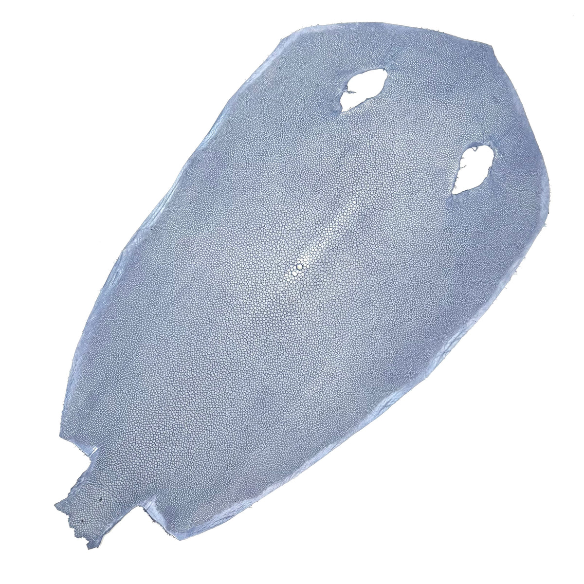 Pastel Sanded/Polished Stingray