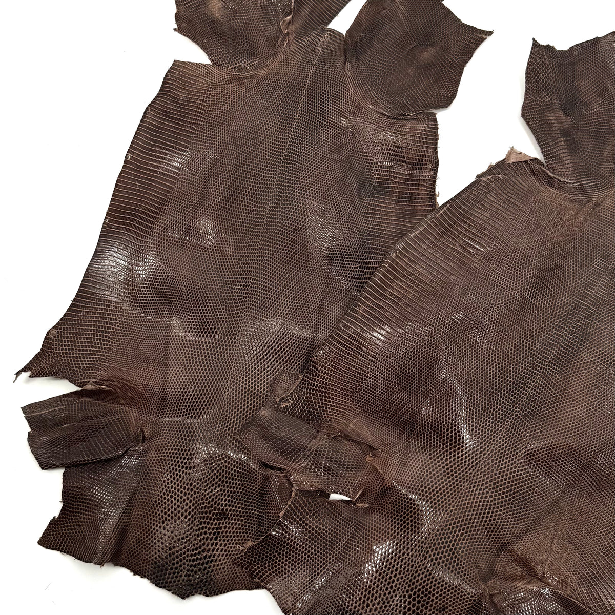 Pack of 3 Glazed Brown Lizard Skin Grade 2 | SALE