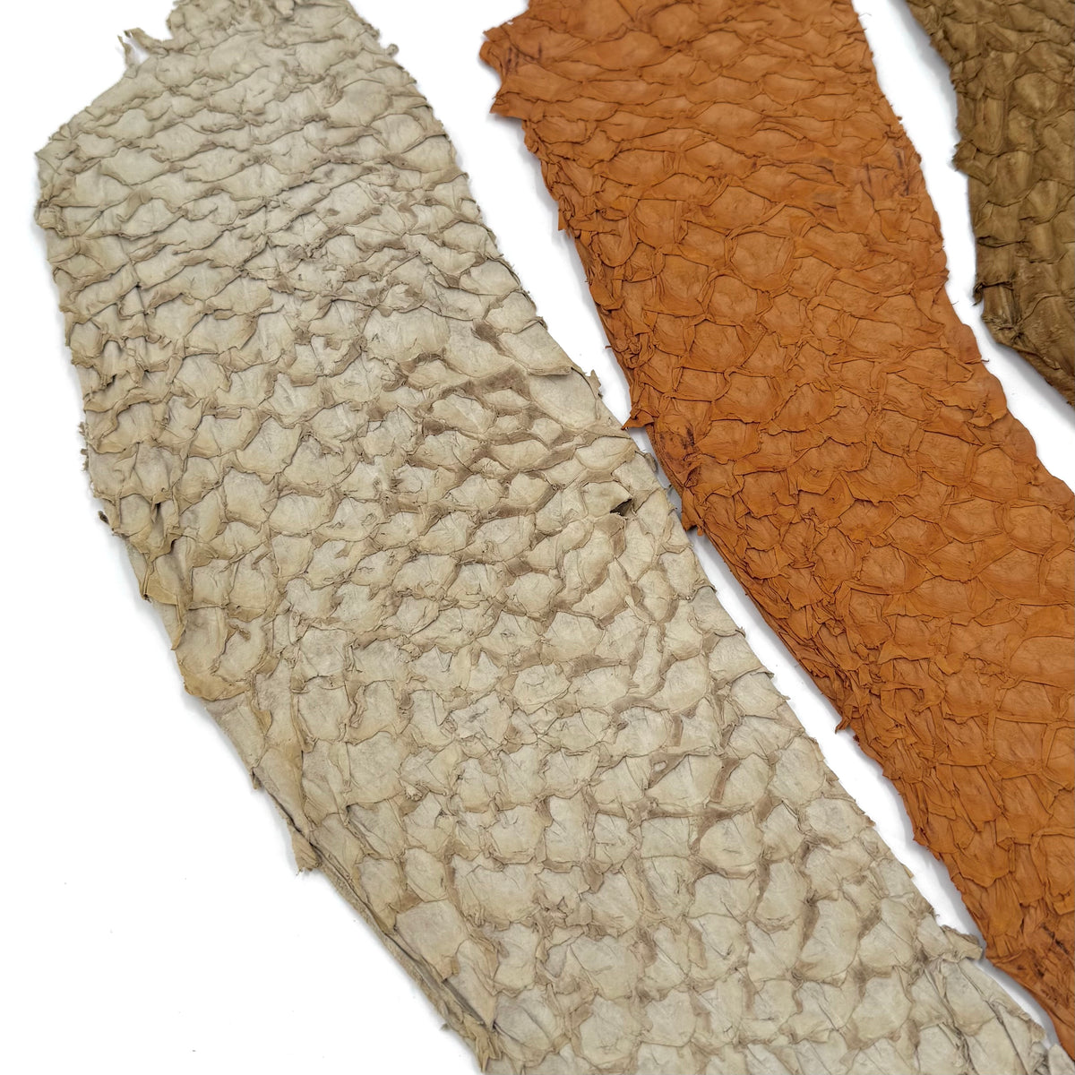 Bundle of 3 Multicolor Pirarucu Tails 5X | SALE