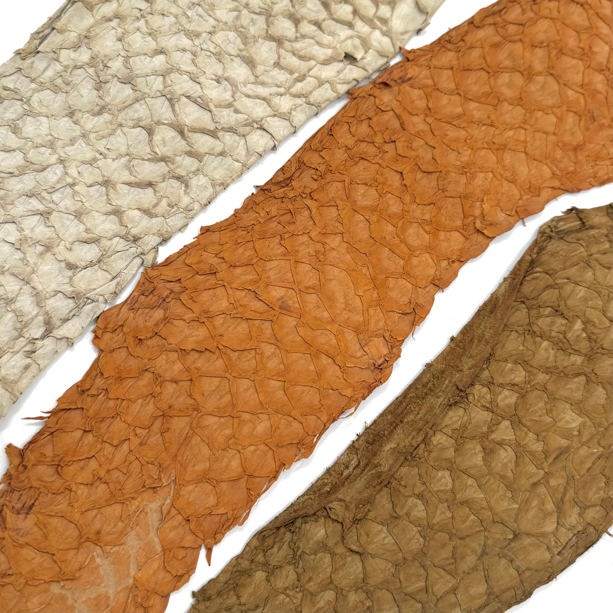 Bundle of 3 Multicolor Pirarucu Tails 5X | SALE
