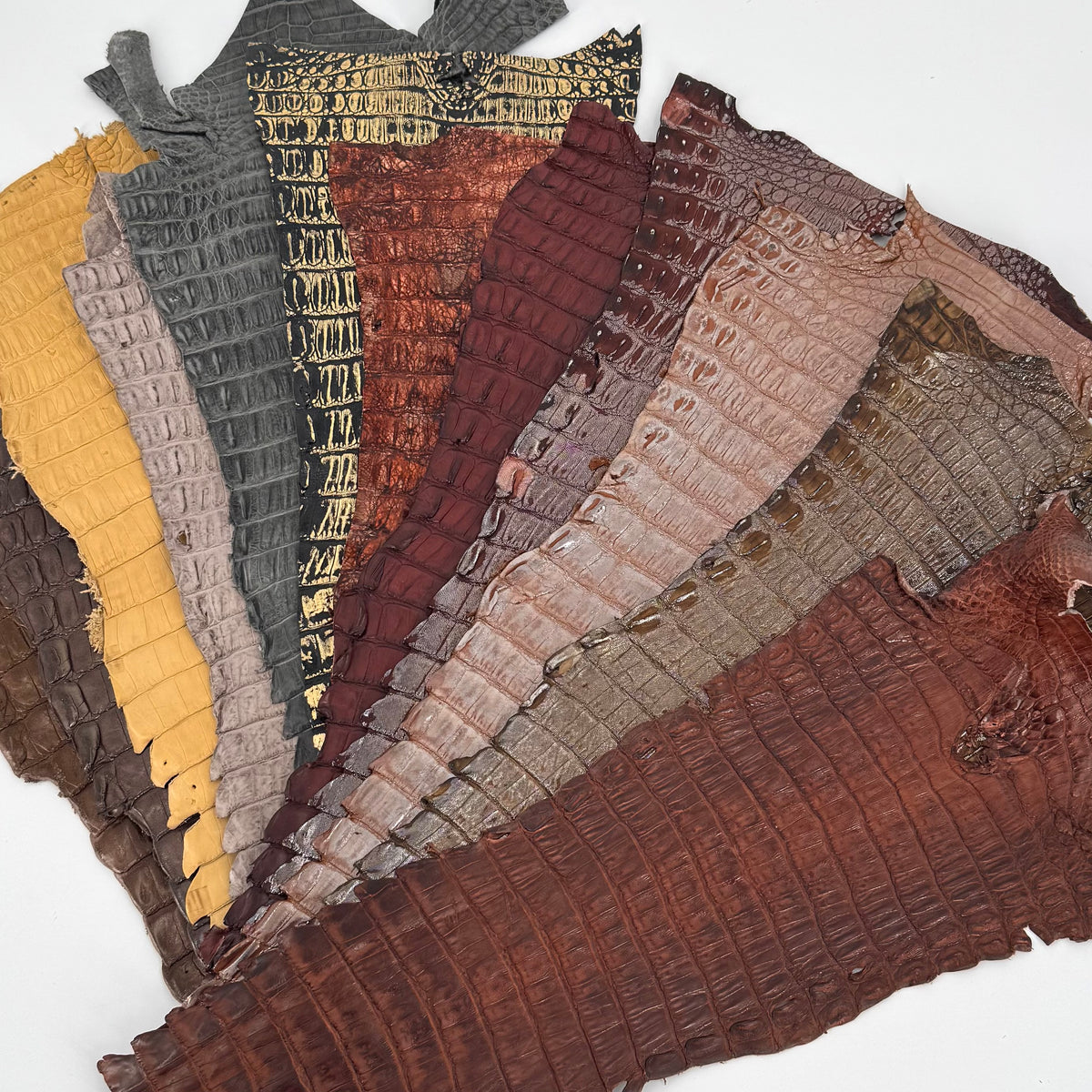 Individual Caiman Tales | SALE