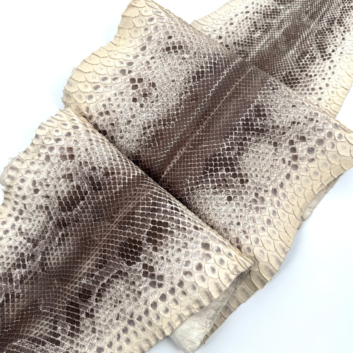 Natural Short Tail Python Cuts | Final Sale