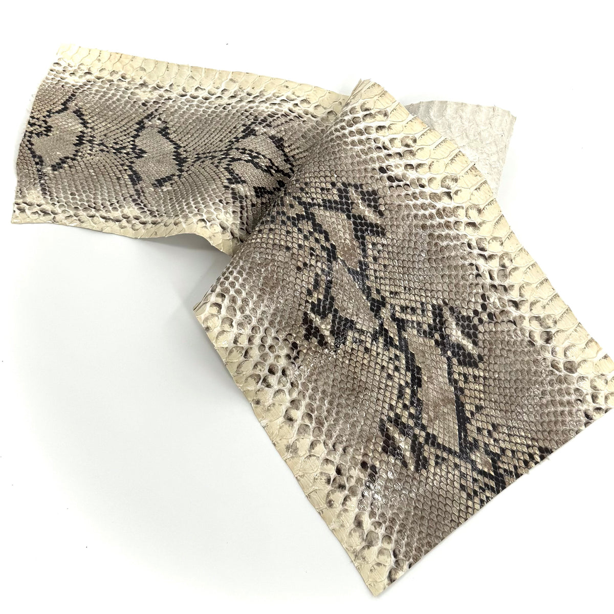 Short Python Cuts | Final Sale