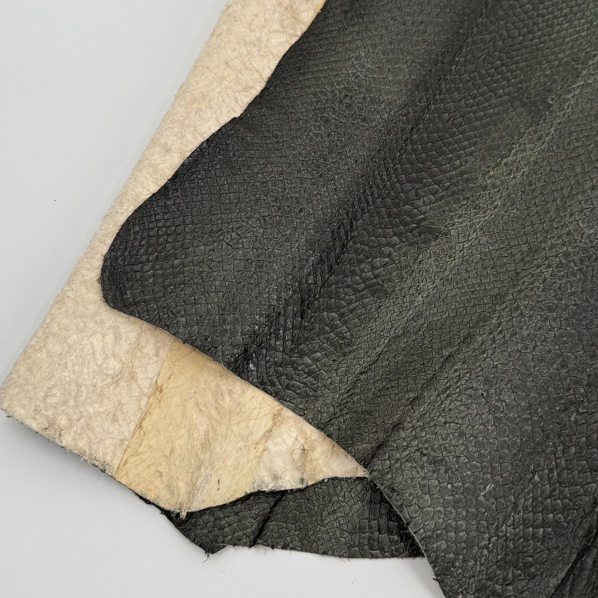 Forest Green Salmon Plate Leather