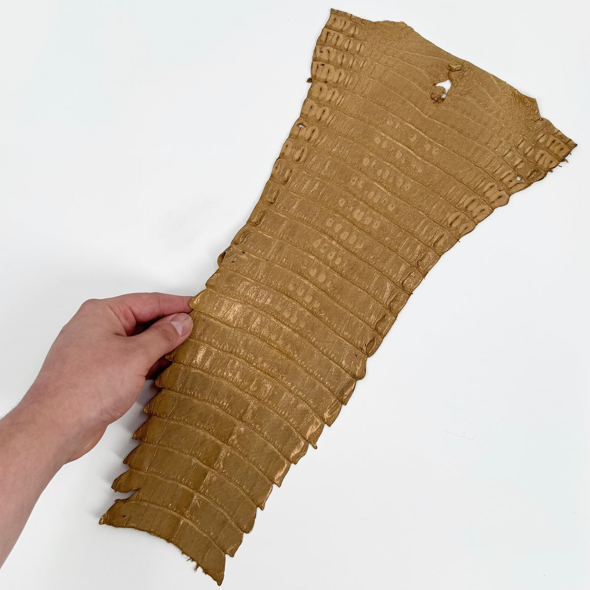 Individual Caiman Tails | SALE